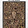 Citadel: Skulls