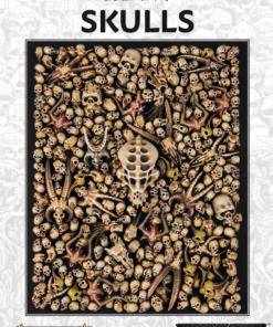 Citadel: Skulls